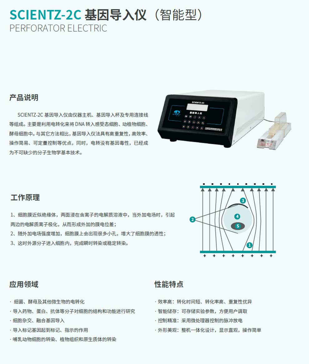 SCIENTZ-2C-彩1.jpg